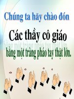 Giáo án điện tử tiểu học: Trang trí cái bát ppt