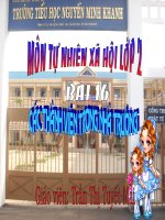 Giáo án điện tử tiểu học: Các thành viên trong nhà trường ppt