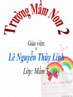 Giáo trình điện tử mầm non: Sự phát triển của con gà pdf