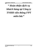 Hoàn thiện dịch vụ khách hàng tại Công ty TNHH viễn thông FPT miền bắc 