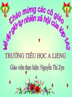 Giáo án điện tử tiểu học: Nhận biết con vật xung quanh potx