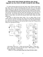 Giáo trình hình thành hệ thống vận dụng nguyên lý chu trình cổ điển trong tải dao động p1 potx
