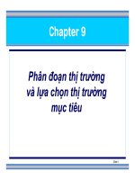 Slide - Phân đoạn thị trường và lựa chọn thị trường mục tiêu pptx