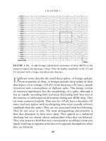Handbook of EEG interpretation - part 3 ppsx