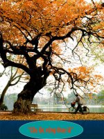 Giáo trình điện tử mầm non: Hương sắc Hà Nội ppsx