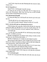 Giáo trình sinh học đất part 6 potx