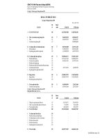 CÔNG TY CP XNK THỦY SẢN AN GIANG - BÁO CÁO TÀI CHÍNH QUÝ 2 - 2009 - BẢNG CÂN ĐỐI KẾ TOÁN pdf