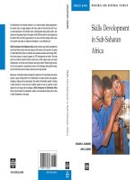 Skills Development in Sub-Saharan Africa phần 1 ppsx