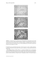 The MEMS Handbook Introduction & Fundamentals (2nd Ed) - M. Gad el Hak Part 11 ppsx