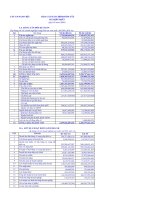 CTY CỔ PHẦN NAM VIỆT - BẢNG CÂN ĐỐI KẾ TOÁN ppsx