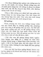 Cây rau dinh dưỡng trong bữa ăn gia đình part 2 ppsx