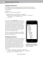 beginning iphone 3 development exploring the iphone sdk phần 5 pot