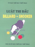 Luật thi đấu Billiard – Snooker part 1 pptx
