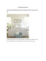 Căn phòng xanh mát mẻ pot