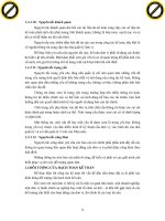 Giáo trình hình thành hệ thống điều phối vĩ mô trong nguyên lý của hạch toán kế toán p2 doc