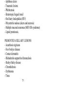 Dermatology A Manual of Differential Diagnosis - part 7 docx