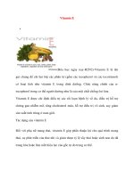 Vitamin E(Hóa học ngày nay-H2N2)-Vitamin E là tên gọi chung để chỉ hai lớp ppsx