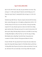 Danh nhân lịch sử: Ngô Vi Liễn pot