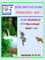 Giáo trình điện tử mầm non: Những con vật hoang dã docx