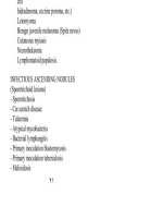 Dermatology A Manual of Differential Diagnosis - part 3 docx
