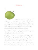 Mùi của các este pdf