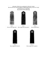 MẪU BIỂU TƯỢNG CẦU VAI KIỂM SOÁT VIÊN CHẤT LƯỢNG - Cầu vai kiểm soát viên chất lượng pptx