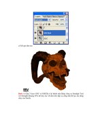 Giáo trình hình thành toolshape ứng dụng cấu tạo phối màu bằng color brush p7 pdf