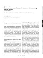 Genomic, chromosomal and allelic assessment of the amazing diversity of maize pot