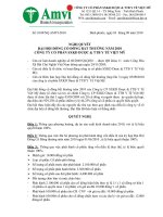 NGHỊ QUYẾT ĐẠI HỘI ĐỒNG CỔ ĐÔNG BẤT THƯỜNG NĂM 2010 CÔNG TY CỔ PHẦN SXKD DƯỢC & TTB Y TẾ VIỆT MỸ pot