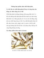 Những thực phẩm chứa chất điện phân ppt