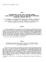 báo cáo khoa học: 