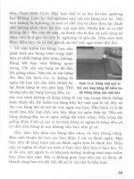 Học chơi Bi-a lỗ part 7 ppt