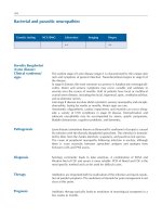 Atlas of Neuromuscular Diseases - part 7 pdf