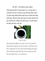 Mè đen – Mỹ phẩm, dược phẩm pptx