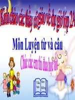 Giáo án điện tử tiểu học: Câu từ chỉ tính chất pps