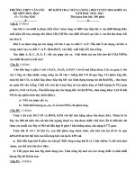 ĐỀ KIỂM TRA CHẤT LƯỢNG ( ĐỘI TUYỂN HSG KHỐI 12) NĂM HỌC 2010- 2011 ppsx