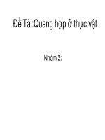 Quang hợp của thực vật doc