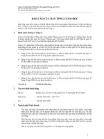 Công ty Cổ phần Đầu tư Phát triển Công nghiệp Thương mại Củ Chi Báo cáo của Ban Tổng Giám đốc 2009 pps