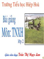 Giáo án điện tử tiểu học: Tự nhiên xã hội lớp 2 pdf