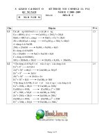SỞ GIÁO DỤC & ĐÀO TẠO QUẢNG NAM HƯỚNG DẪN CHẤM KỲ THI CHỌN HỌC SINH GIỎI LỚP 12 NĂM HỌC 2008 - 2009 Môn thi : HÓA HỌC pdf