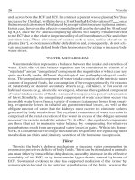 Handbook of Diagnostic Endocrinology - part 2 pptx