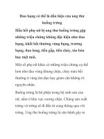 Đau bụng có thể là dấu hiệu của ung thư buồng trứng doc