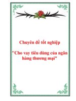 Chuyên đề tốt nghiệp 