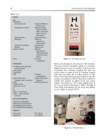 Common Eye Diseases and their Management - part 2 ppsx