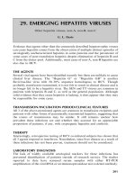 A Practical Guide to Clinical Virology Second Edition - part 8 doc