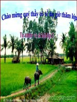 Giáo án điện tử tiểu học: Giữ gìn môi trường xung quanh nhà ở docx