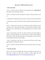 Chia Công ty TNHH hai thành viên trở lên pptx