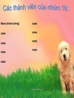 ton tai xa hoi & y thuc xa hoi408 (he dai hoc) pot