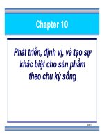 Slide - Tạo sự khác biệt cho sản phẩm theo chu kỳ docx