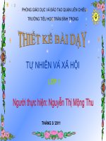 Giáo án điện tử tiểu học: con muỗi ppt